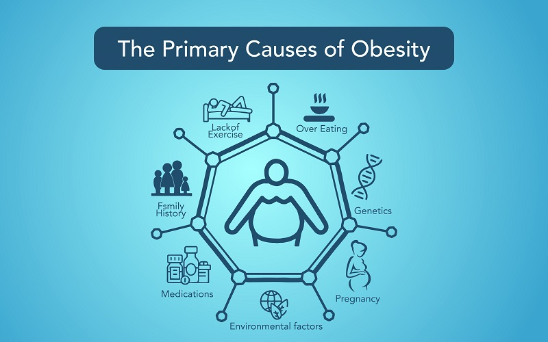 Understanding the Causes of Obesity and Effective Solutions