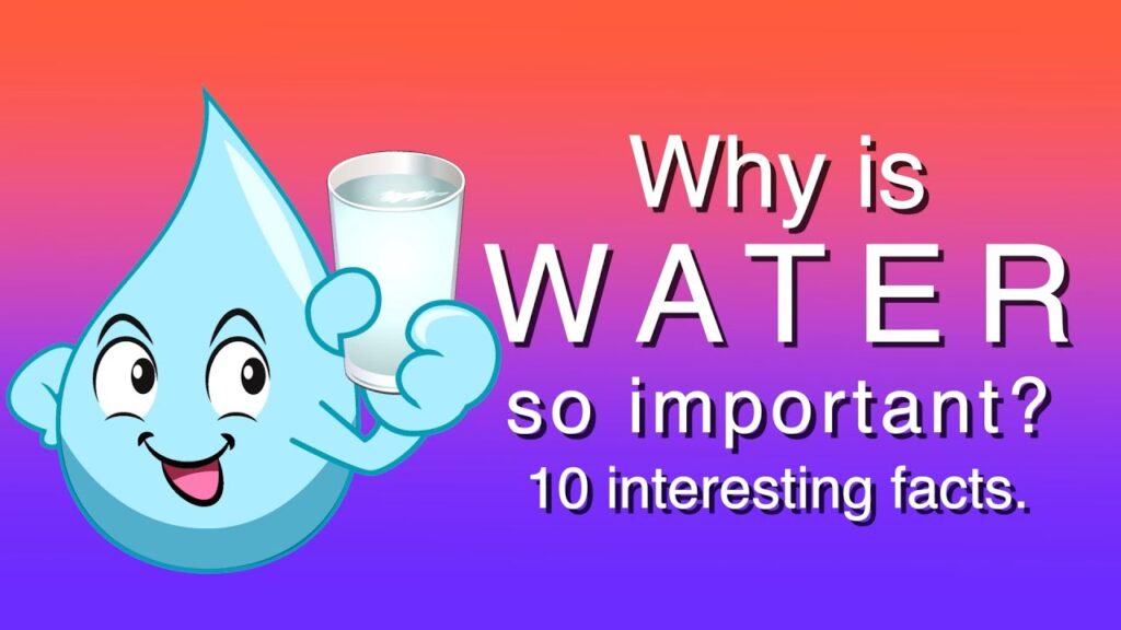 Amazing Facts About Water